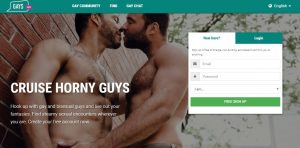 best-gay-dating-sites-gays